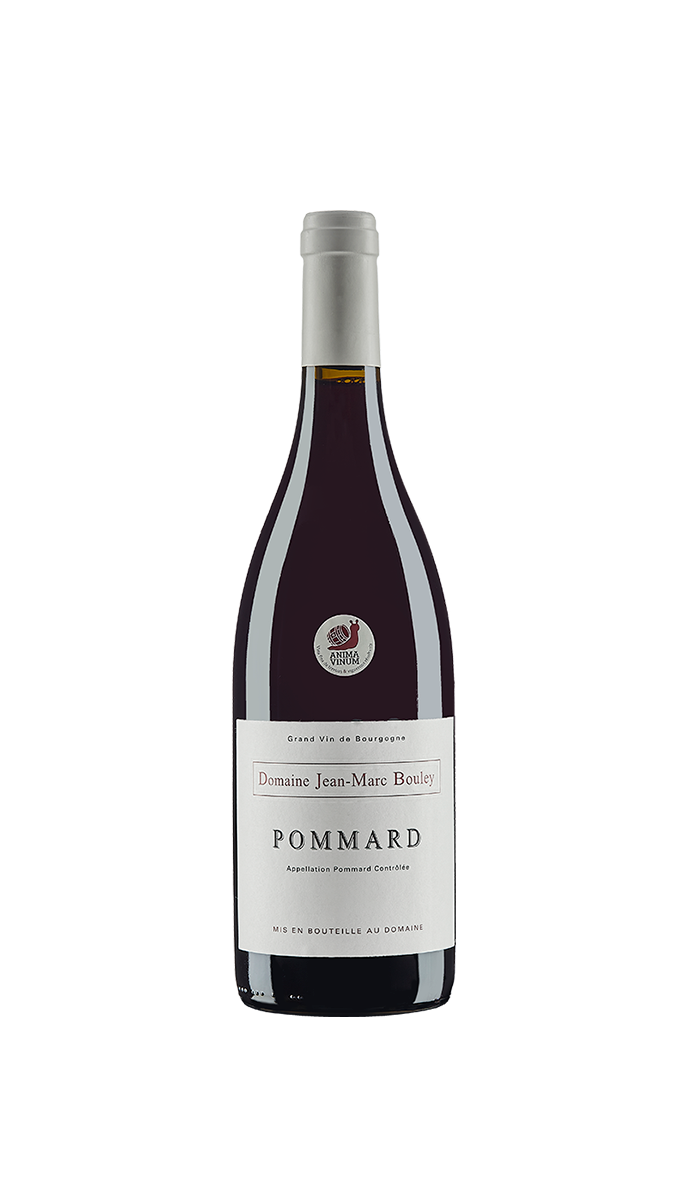 Vinho Tinto Pommard