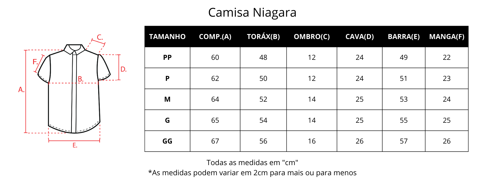 Guia de medidas