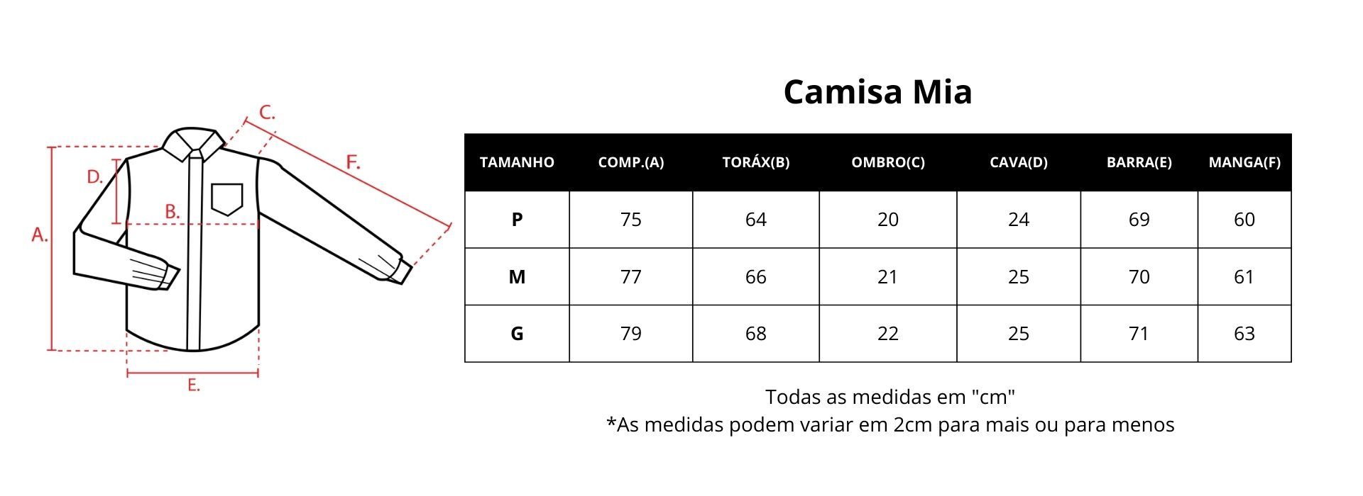 Guia de medidas