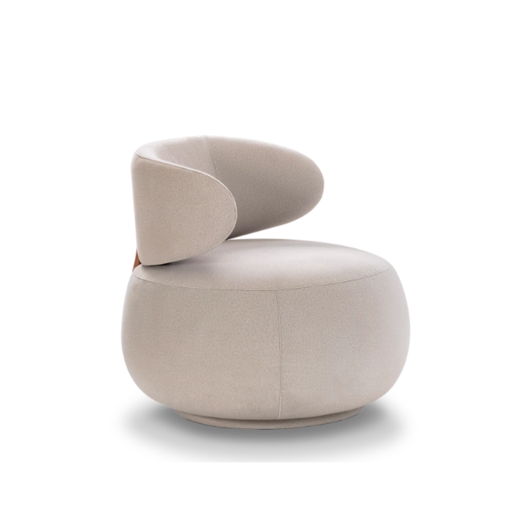 Zoom Poltrona Pouso 1