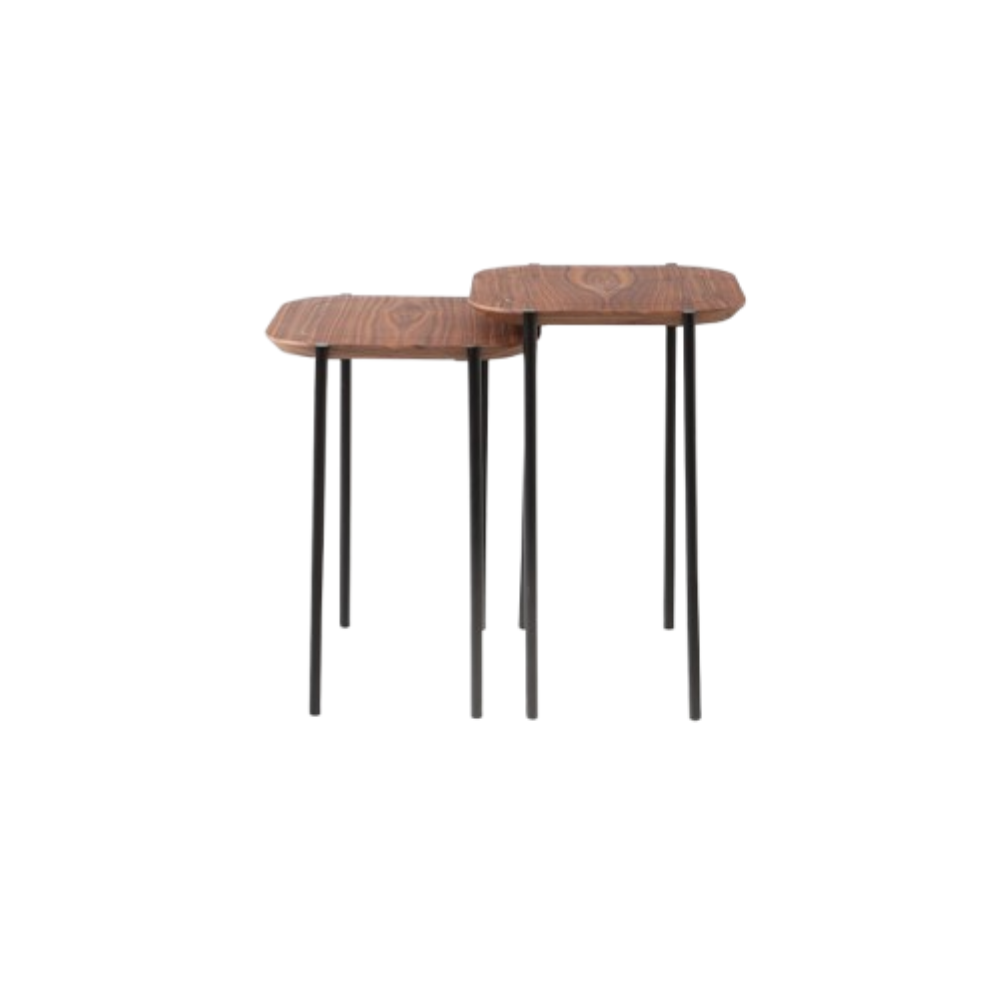 Zoom Mesa Lateral Zal 1