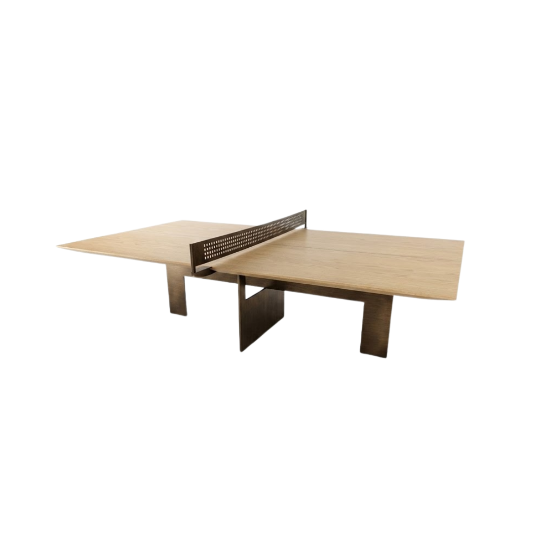 Zoom Mesa Ping Pong 1