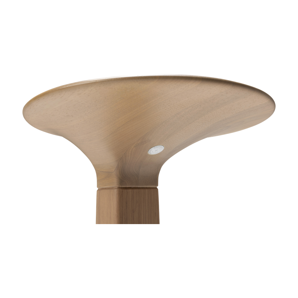 Zoom Mesa Lateral Roda 5