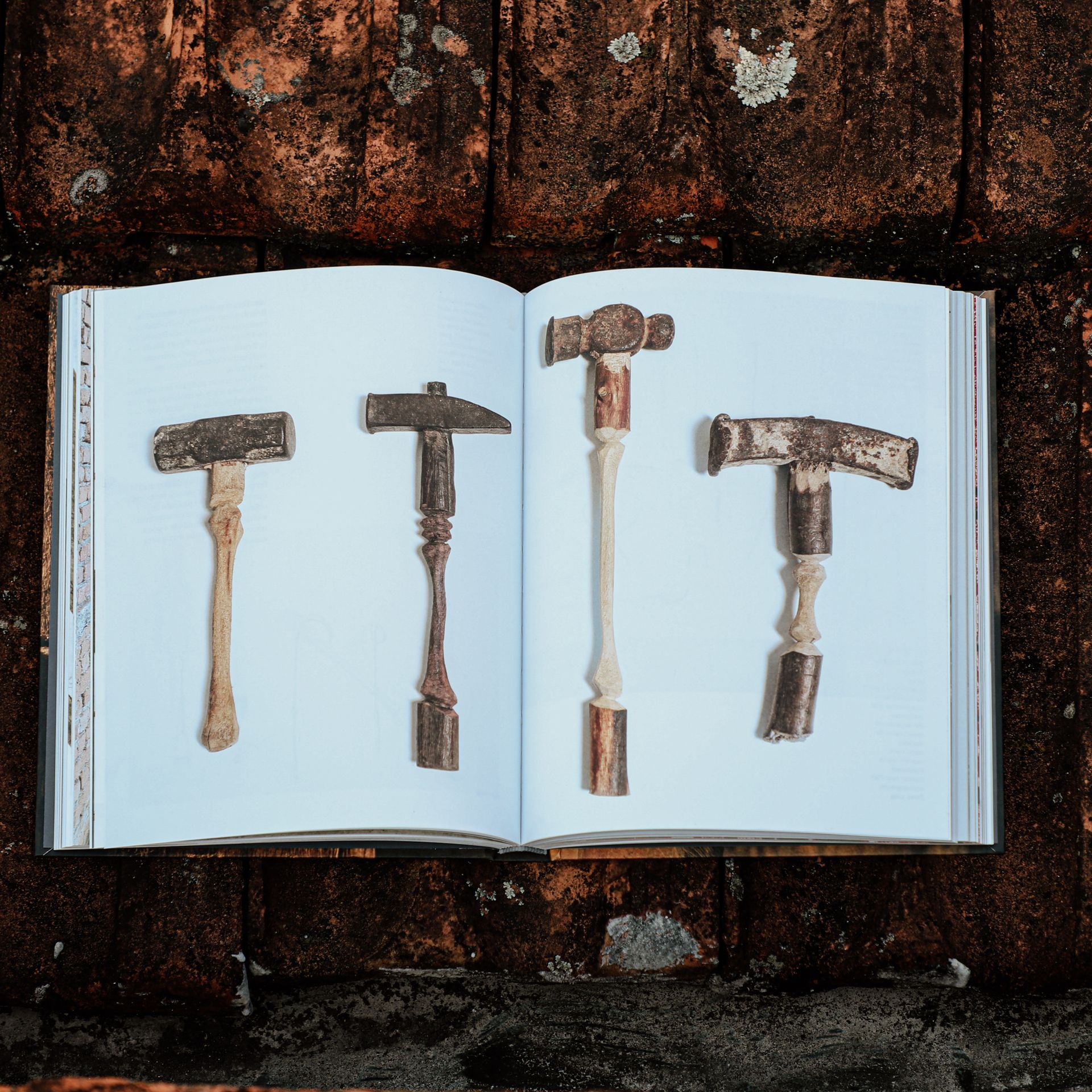 Afonso Tostes: entre a cidade e a natureza | Afonso Tostes: Between City and Nature