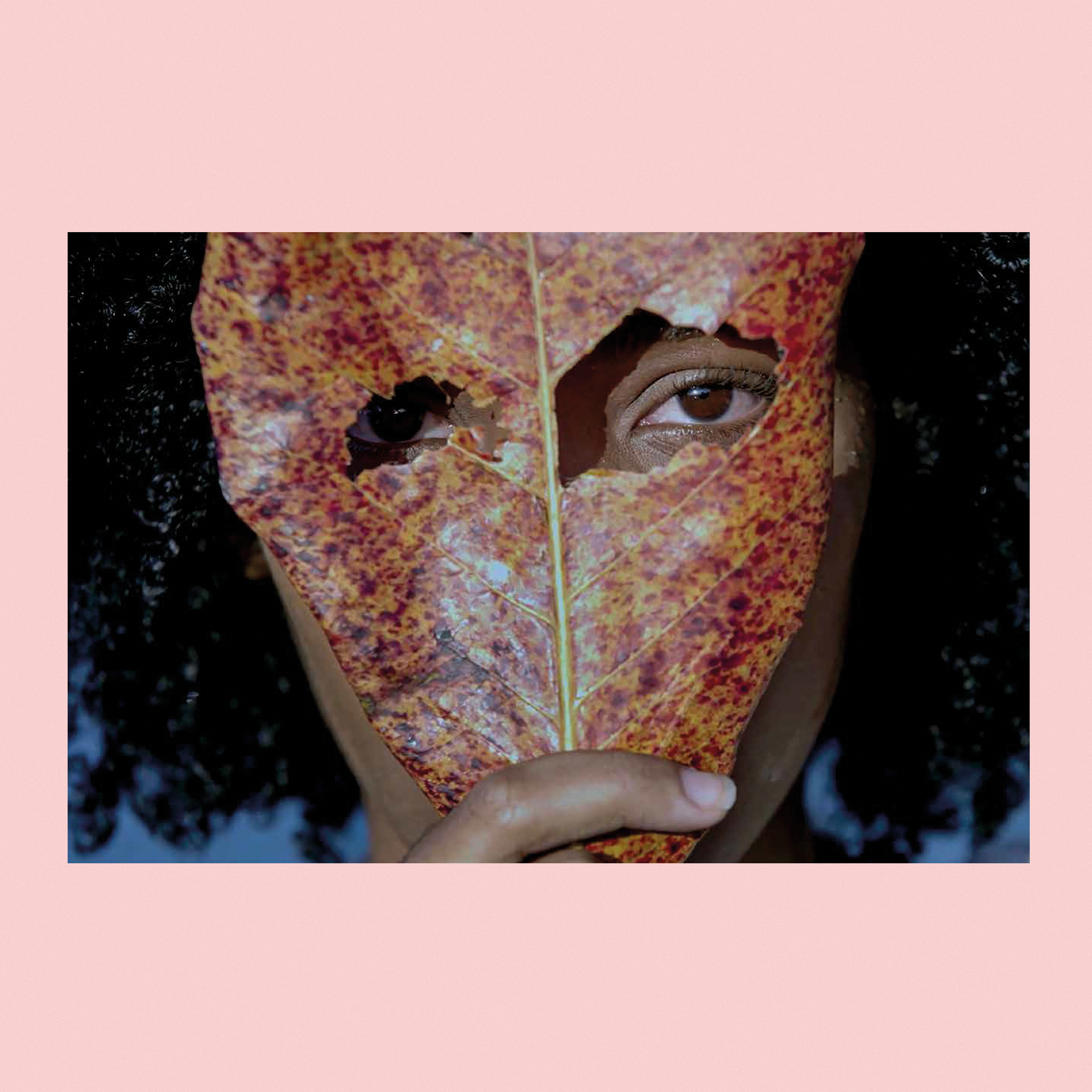 Paraíso | Gilvan Barreto: Paradise
