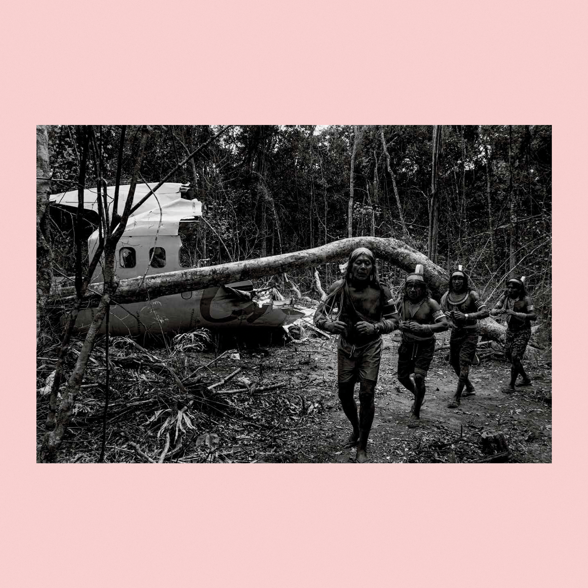 Paraíso | Gilvan Barreto: Paradise
