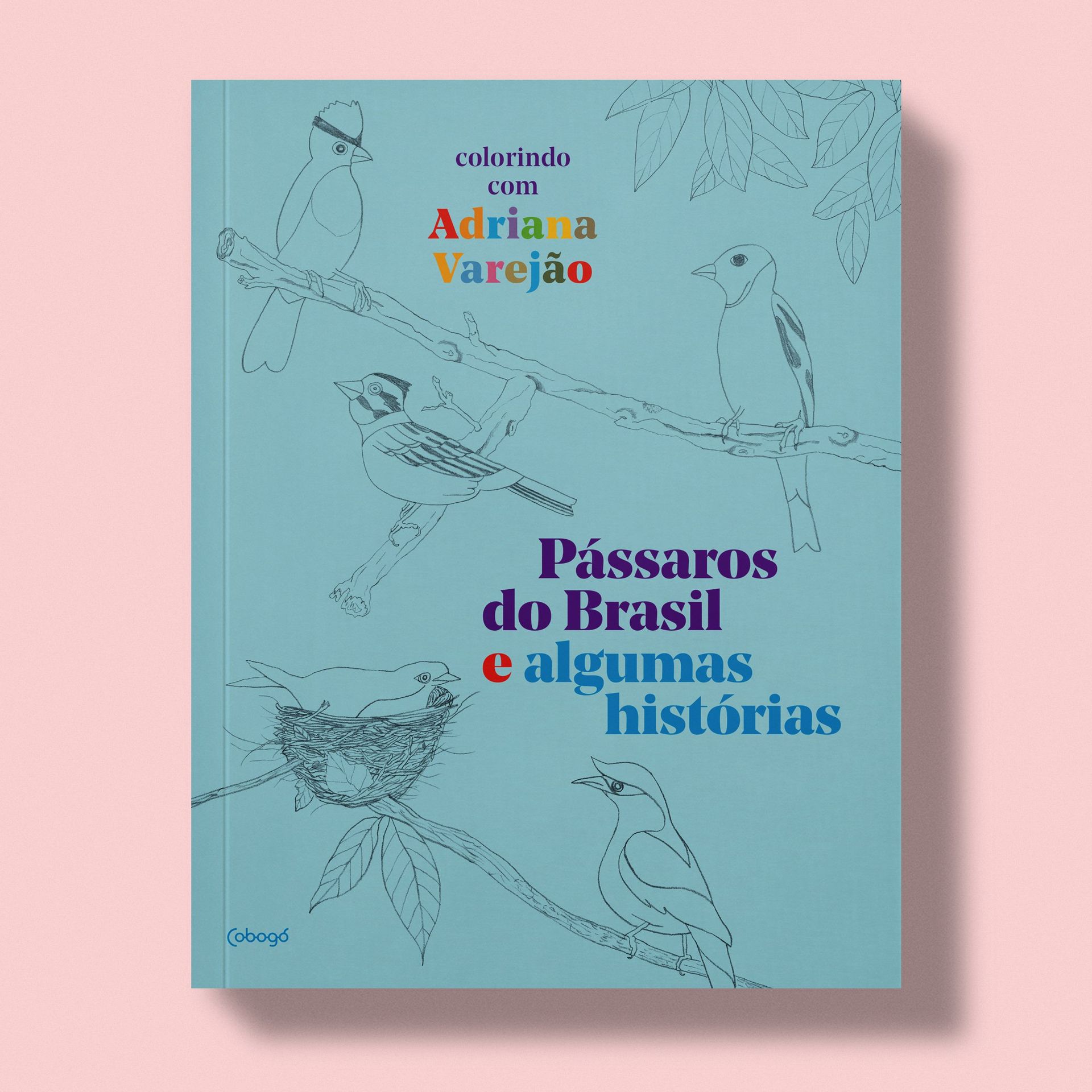 Pássaros do Brasil e algumas histórias – Colorindo com Adriana Varejão