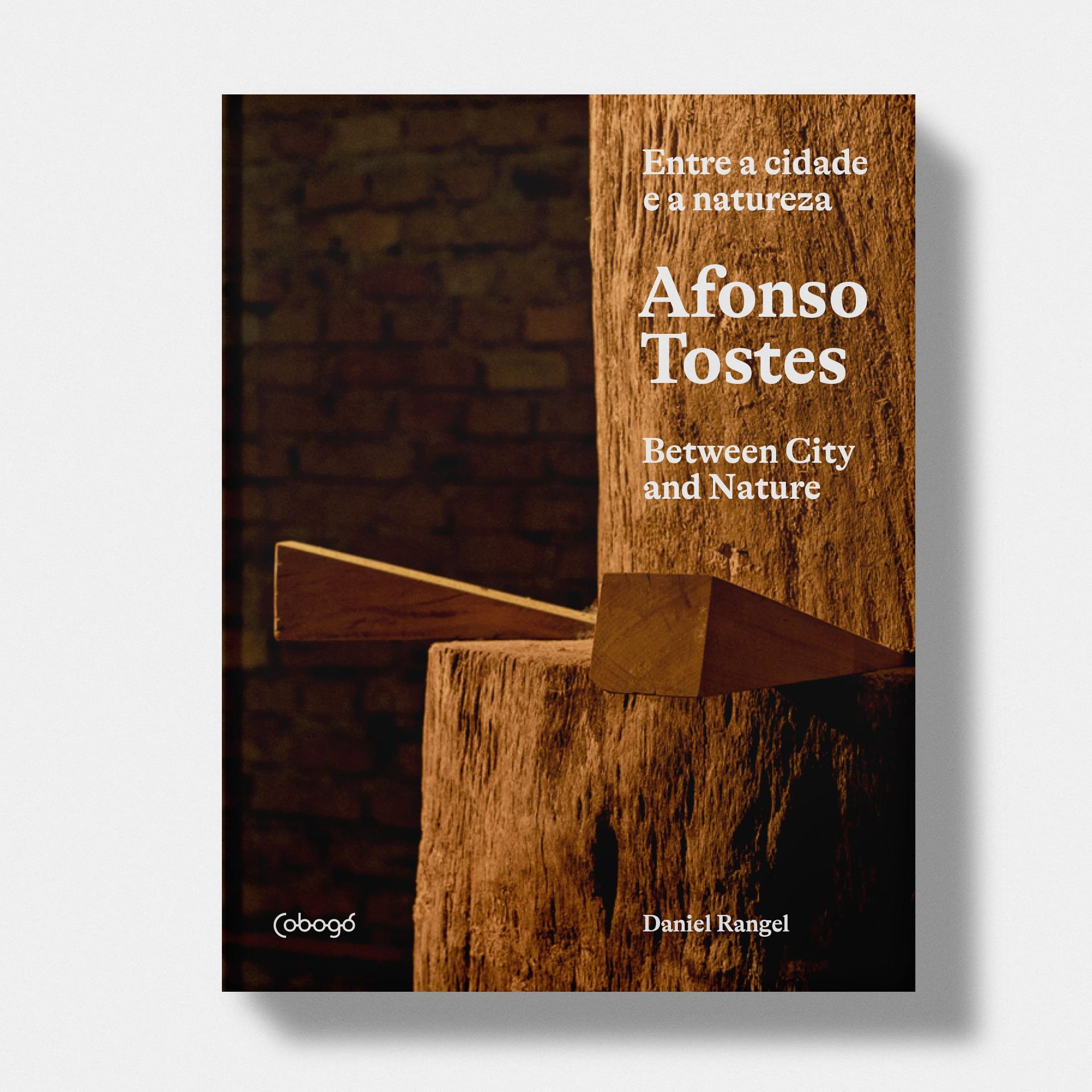 Afonso Tostes: entre a cidade e a natureza | Afonso Tostes: Between City and Nature