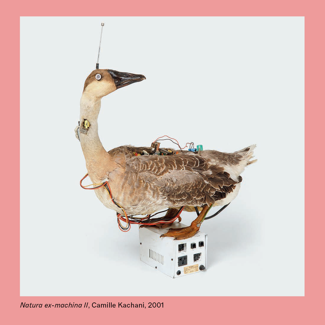 Camille Kachani, o exílio como motor da obra | Camille Kachani, Exile as a Working Engine