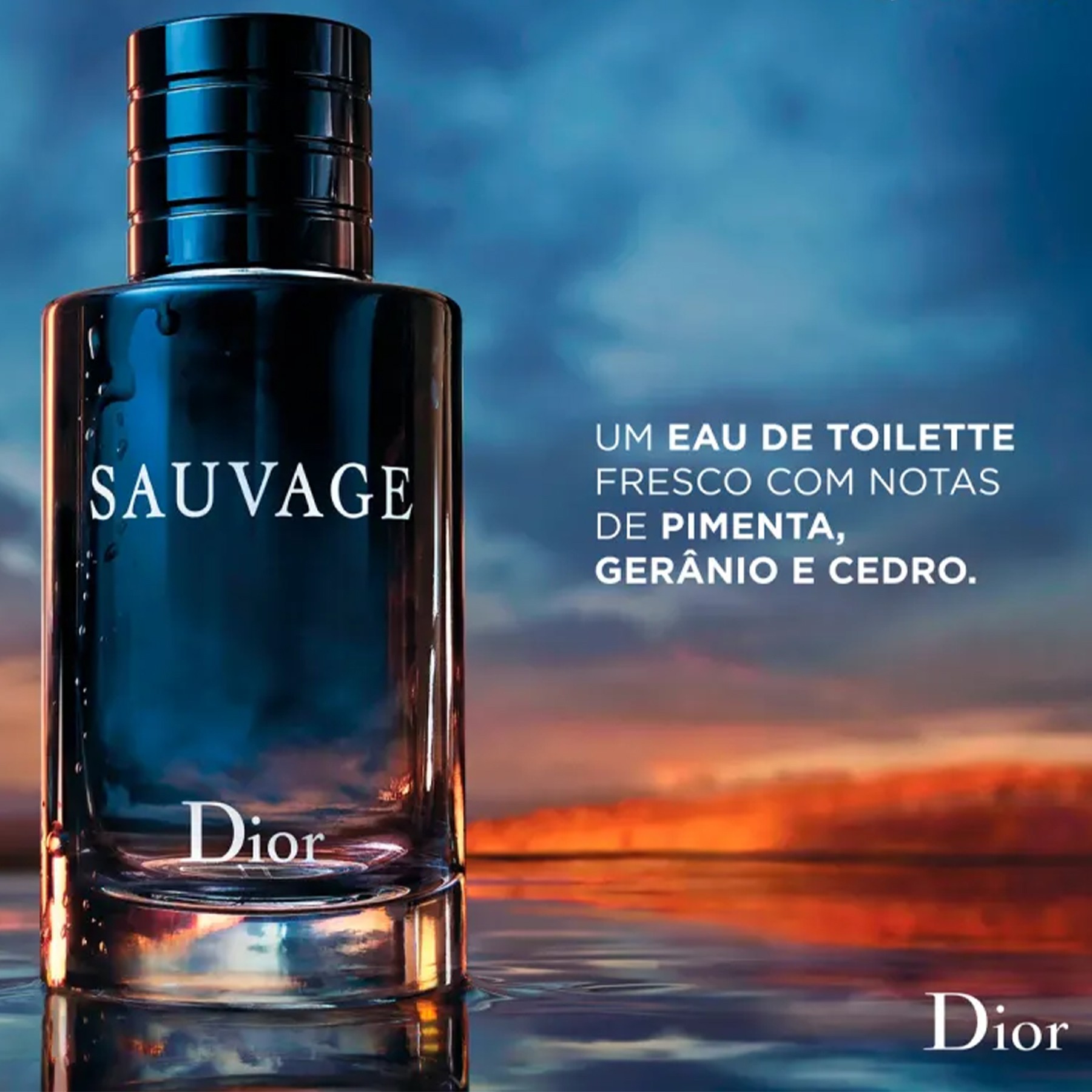 Sauvage Dior Perfume Masculino Eau de Toilette 100ml - DOLCE VITA