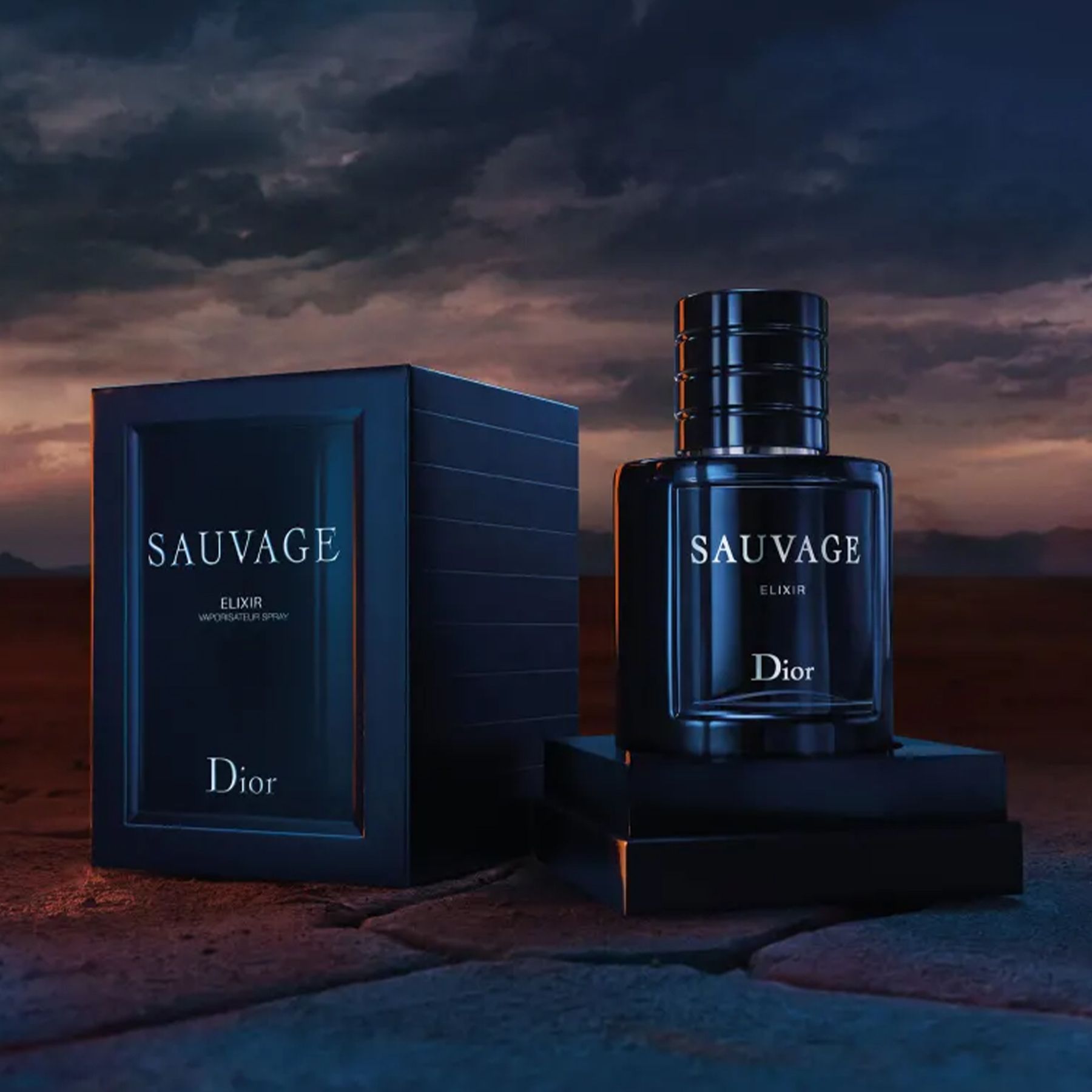 Sauvage Elixir Dior Perfume Masculino 60ml - DOLCE VITA