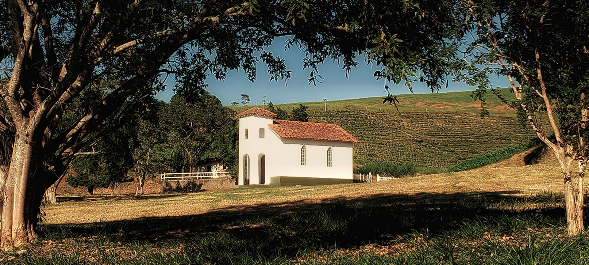 Banner Principal Fazenda