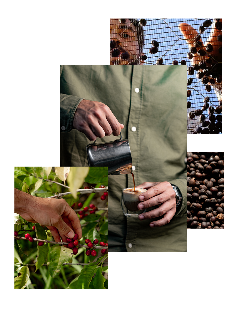 Banner Grid Nosso Café 02