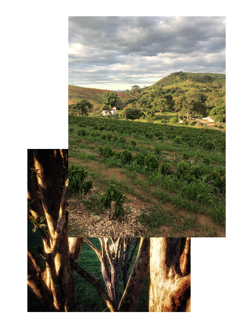 Banner Fazenda Grid 01