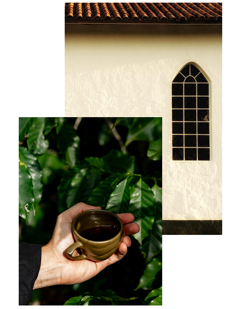 Banner Fazenda Grid 02
