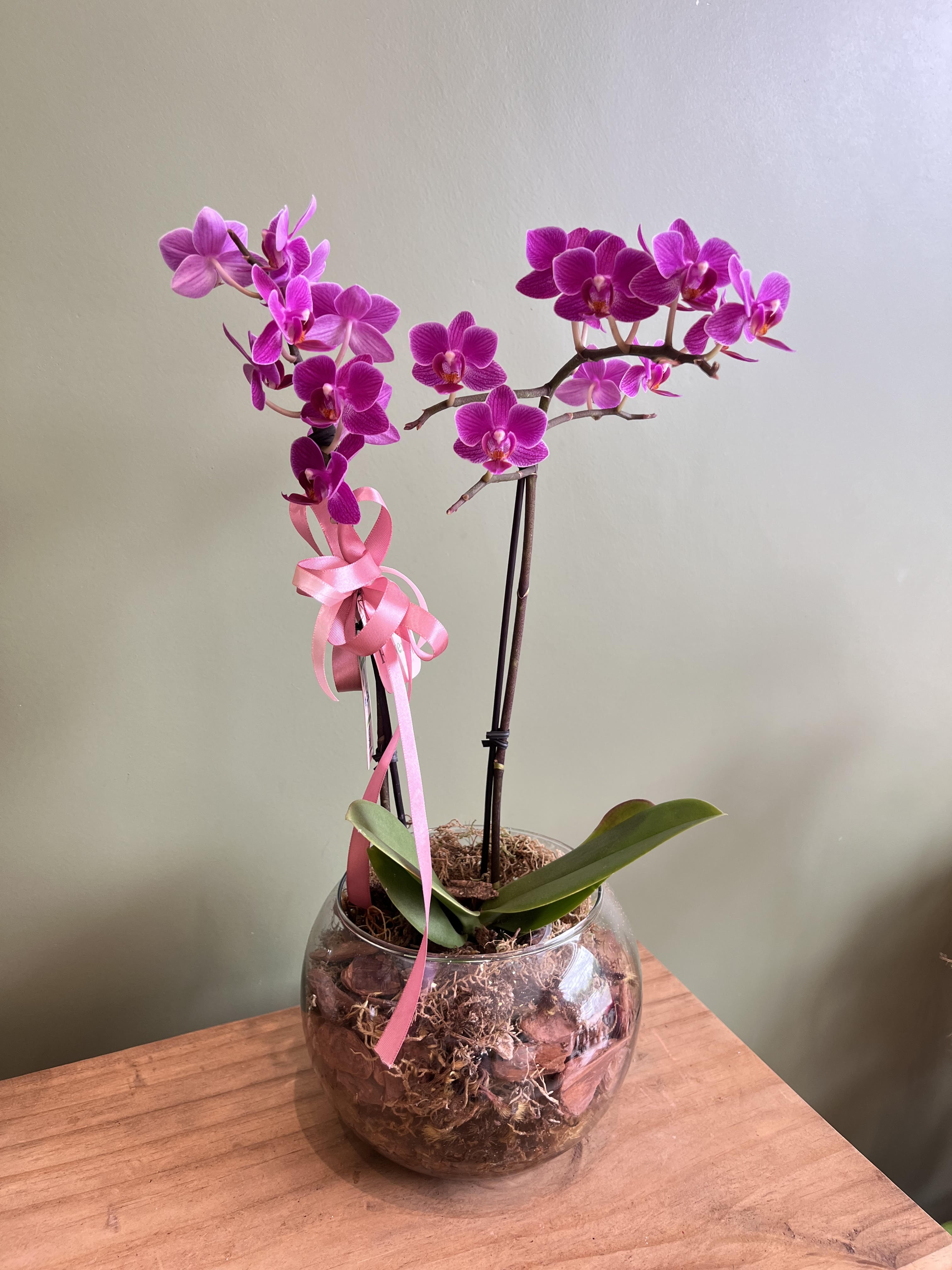 Foto do produto Mini Orquídea