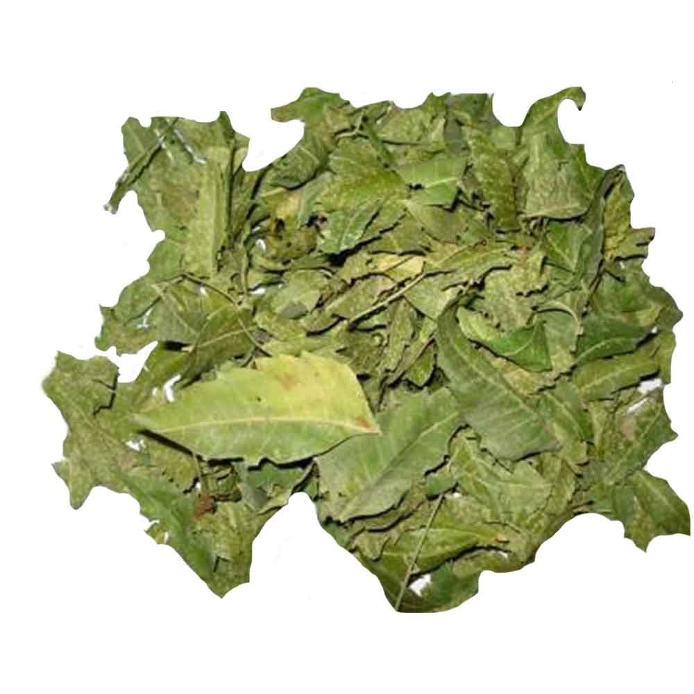 Chá de Nim Indiano - Azadirachta Indica - 100g
