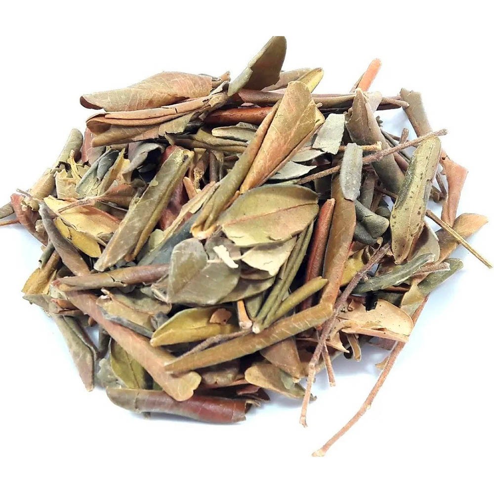 Chá de Jaborandi - Pilocarpus Microphyllus Staf - 100g