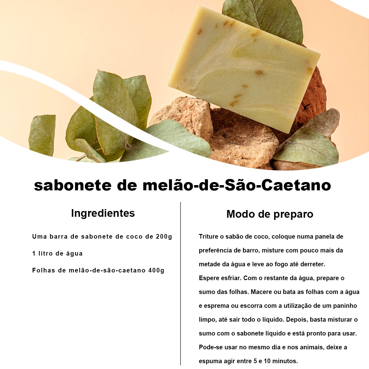Chá de Melão de São Caetano - Momordica Charantia L. - 100g