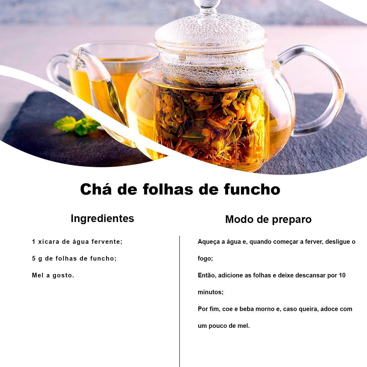 Kit 2 pct Chá de Funcho - Foeniculum Vulgare Miller - 100g