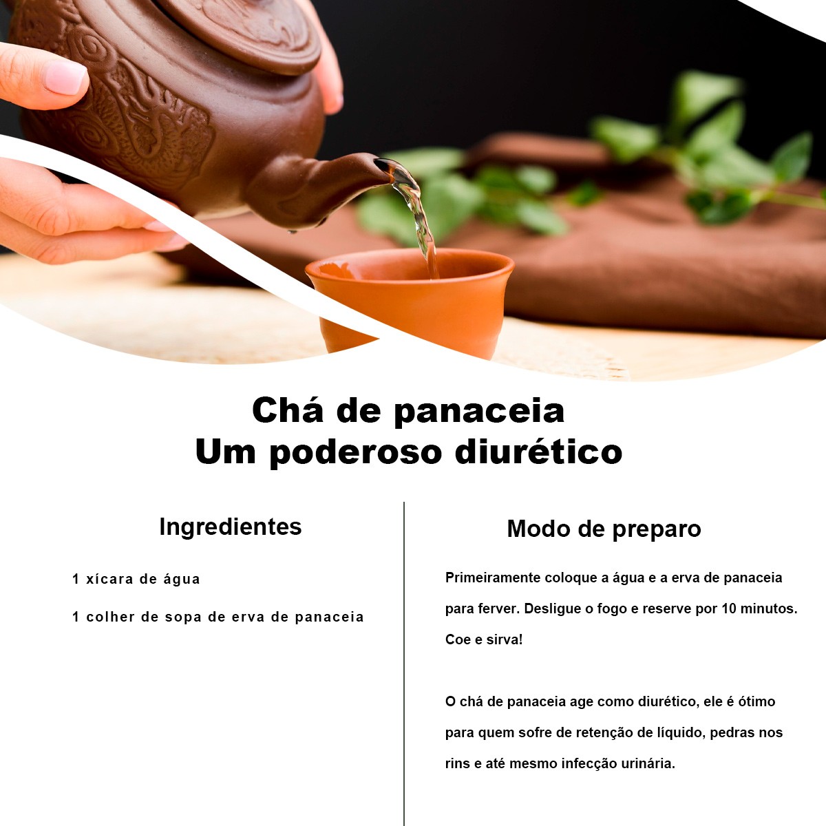 Kit 4 pct Chá de Panacéia - Solanum Cernuum Vell. - 50g