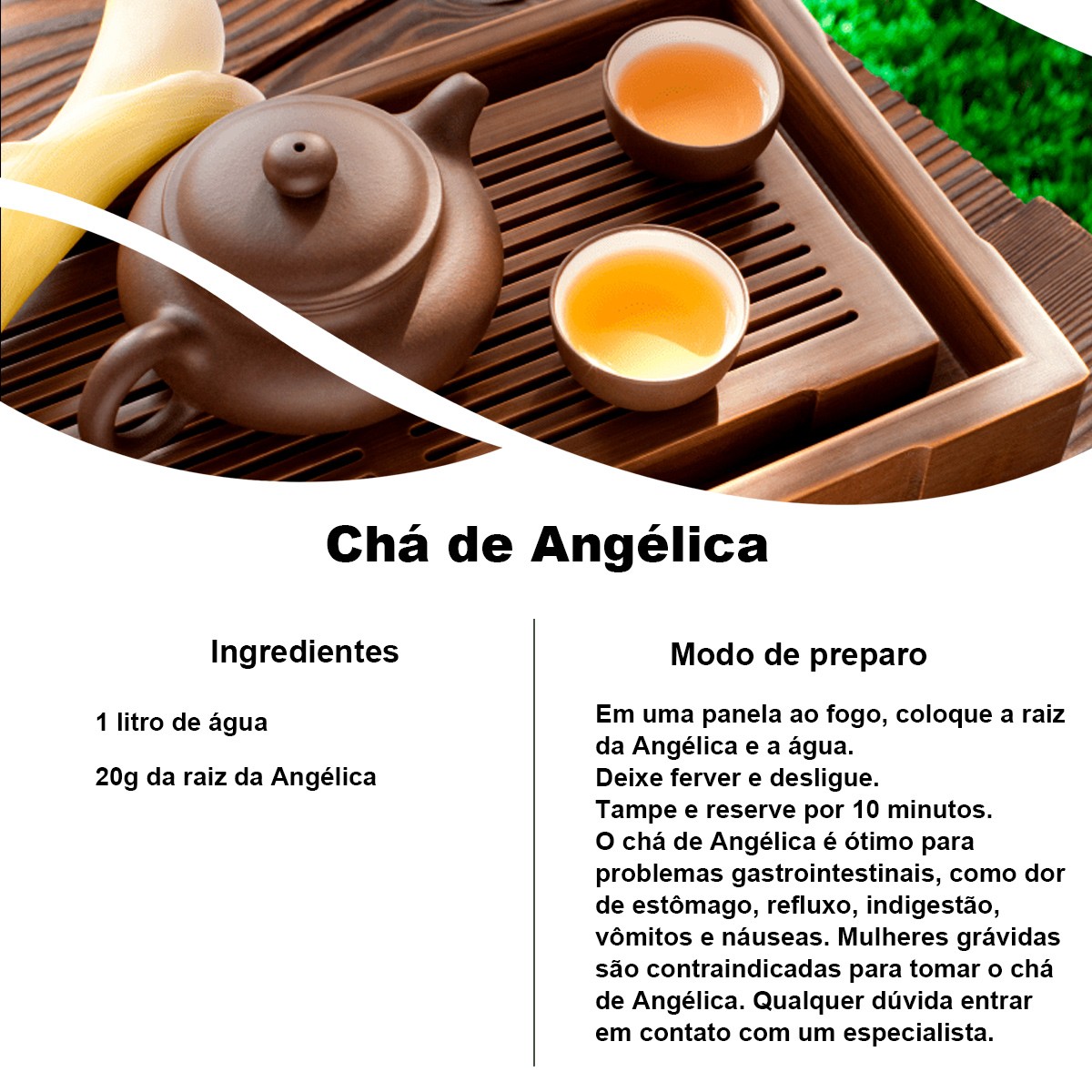 Chá de Angélica - Angelica sylvestris L. - 100g