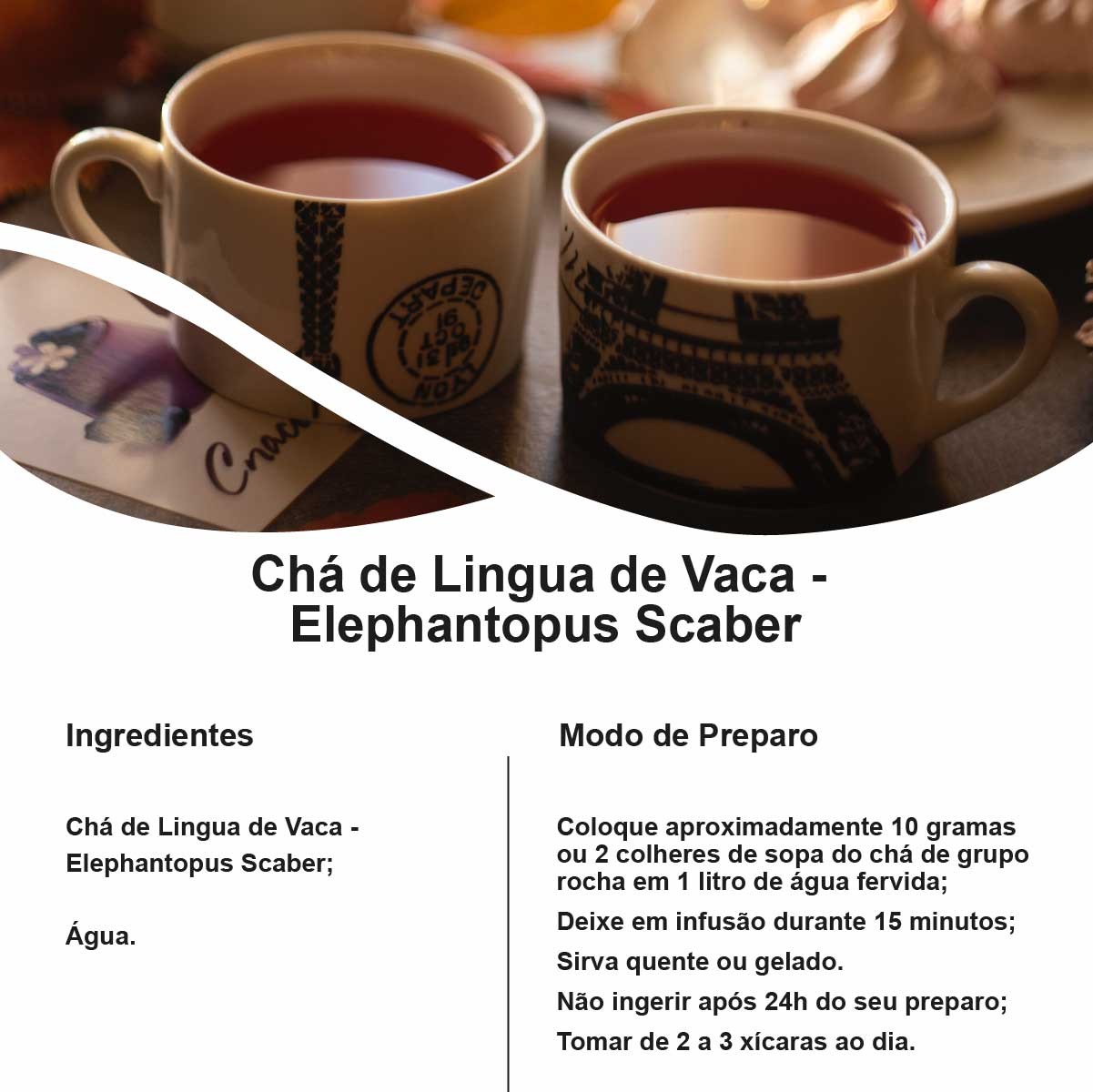 Chá de Lingua de Vaca - Elephantopus Scaber - 100g