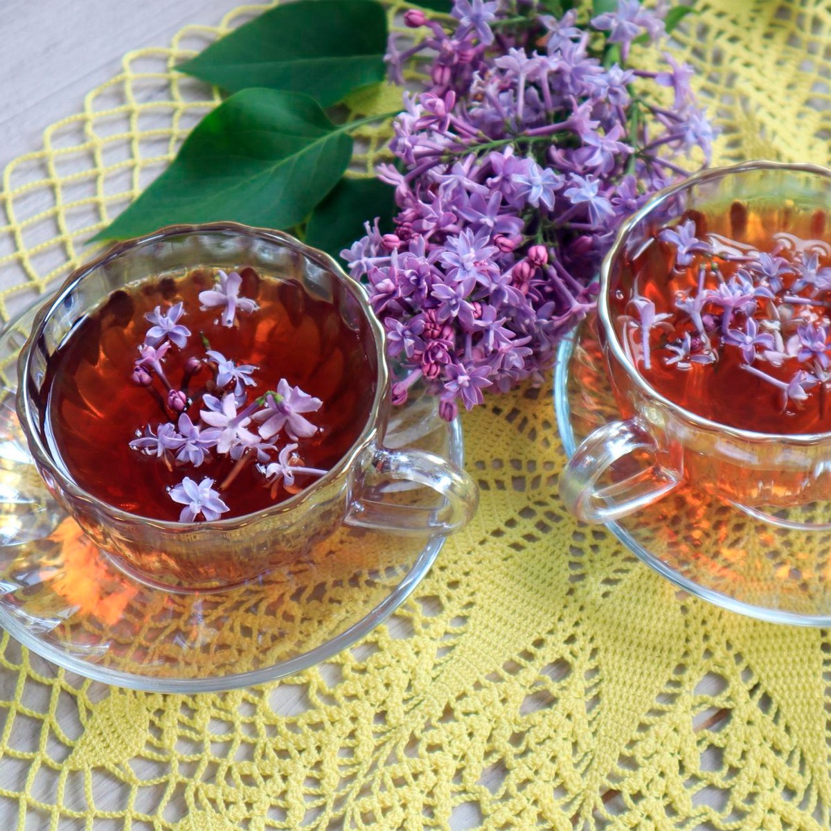 Chá de Alfazema Nacional - Lavandula angustifolia - 50g