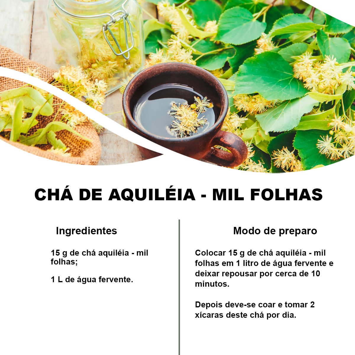 Chá de Aquiléia Mil-Folhas - Achillea Millefolium  L. - 50g