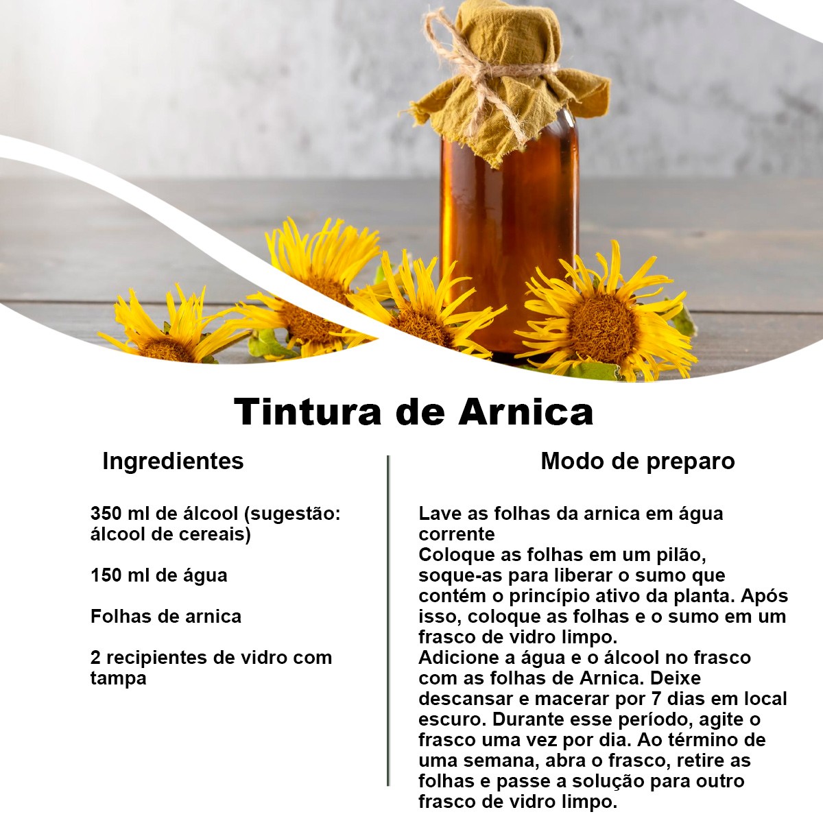Chá de Arnica - Arnica montana -  100g