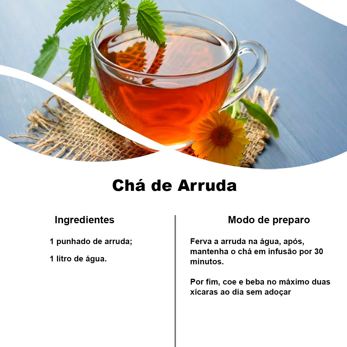 Chá de Arruda - Ruta Graveolens  L. - 100g