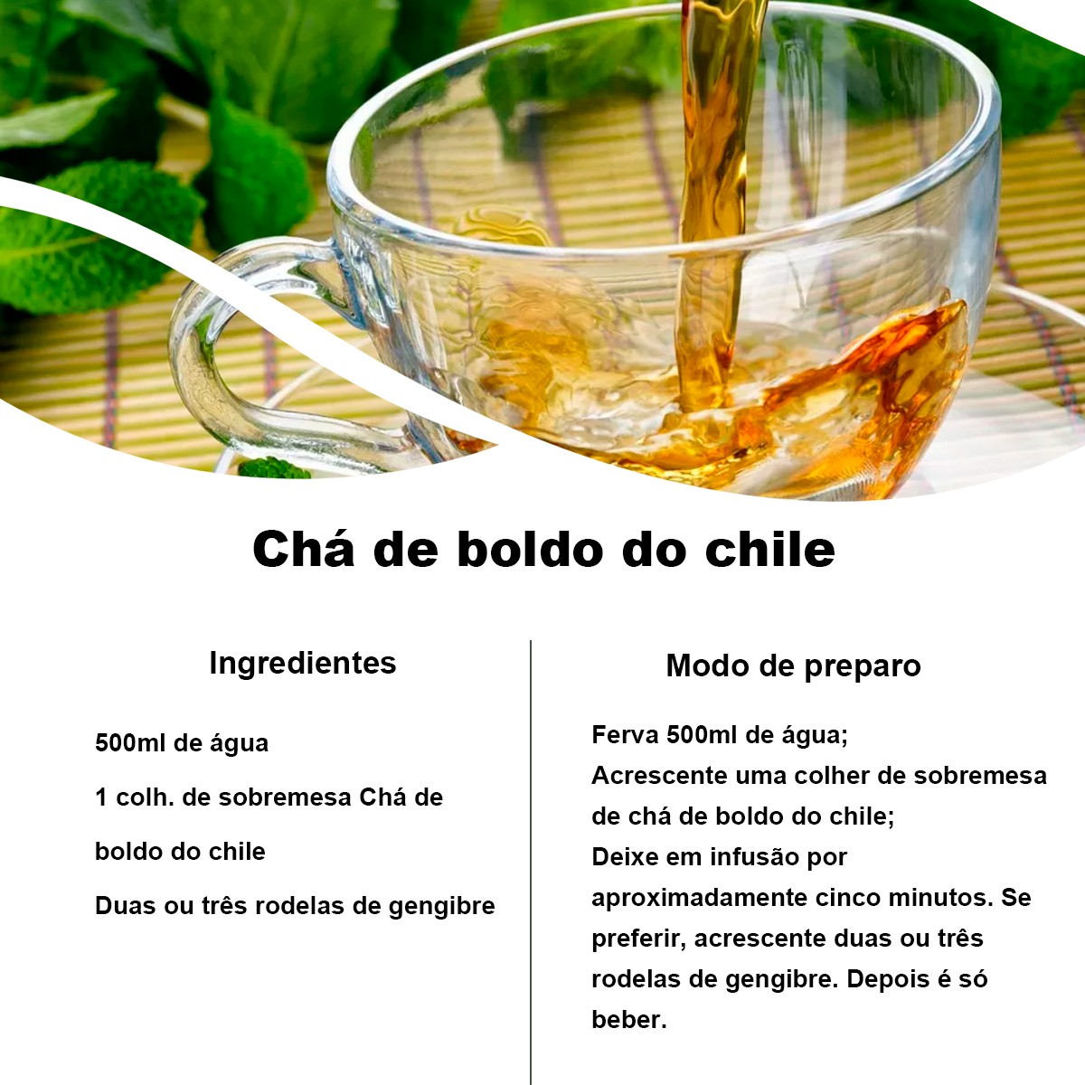 Chá de Boldo do Chile - Peumus boldus Molina - 100g