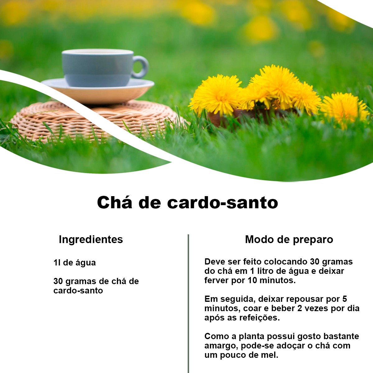 Chá de Cardo Santo - Carduus Benedictus - 100g
