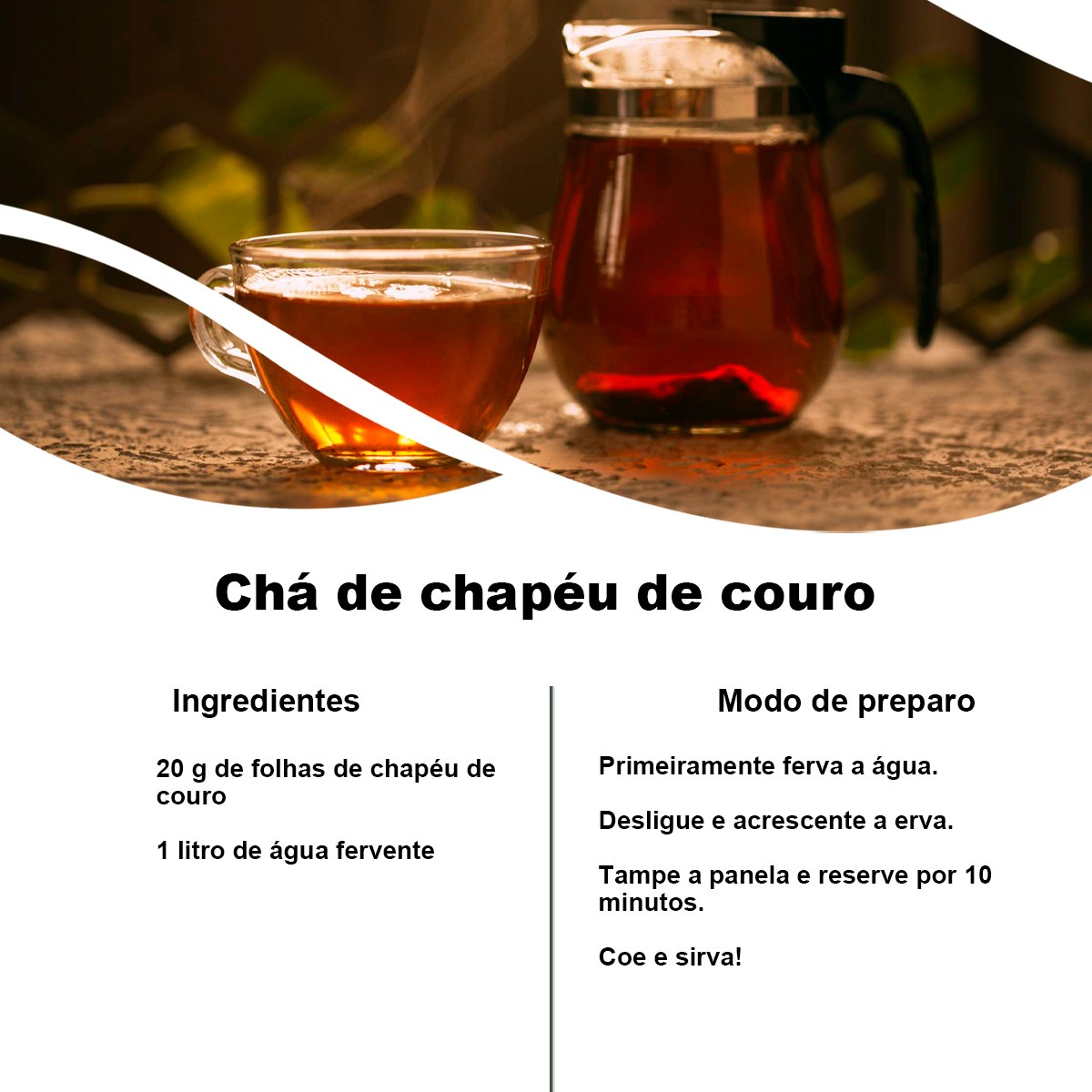 Chá de Chapéu de Couro - Echinodorus Grandiflorus Micheli - 50g