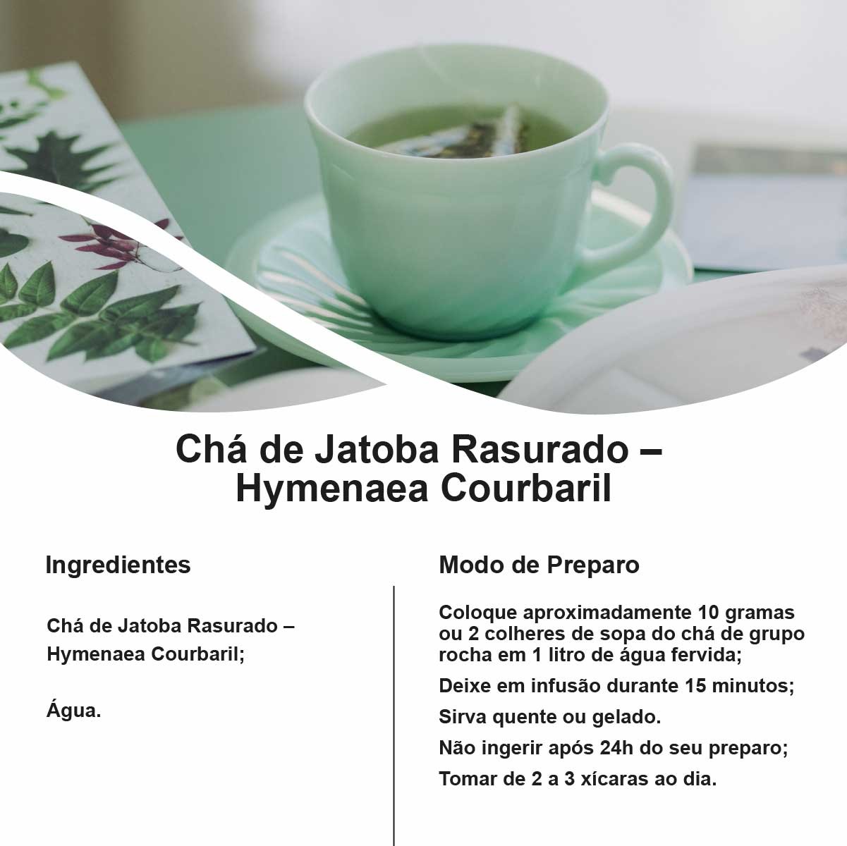 Chá de Jatoba Rasurado – Hymenaea Courbaril – 100g