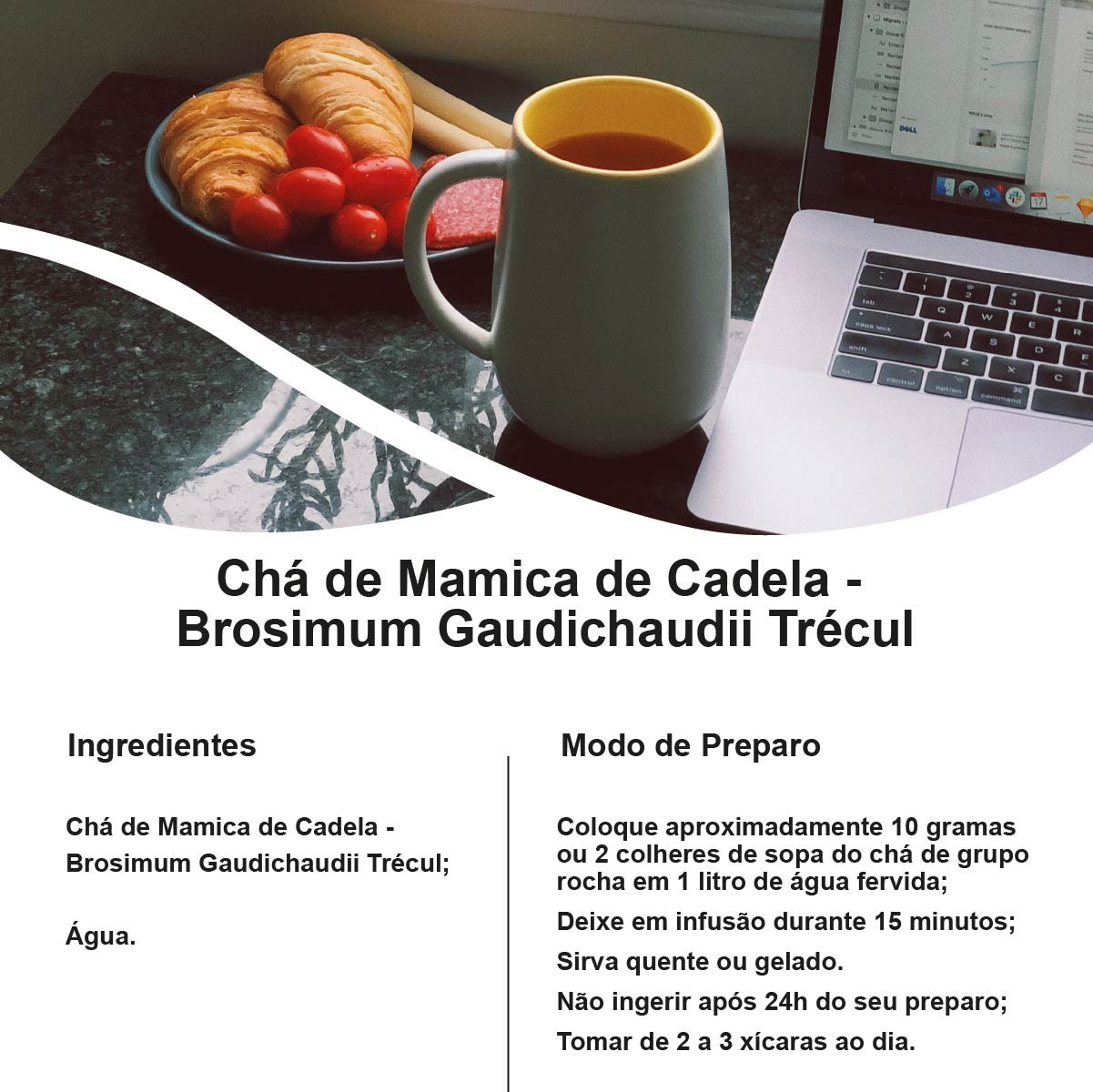 Chá de Mamica de Cadela - Brosimum Gaudichaudii Trécul - 100g