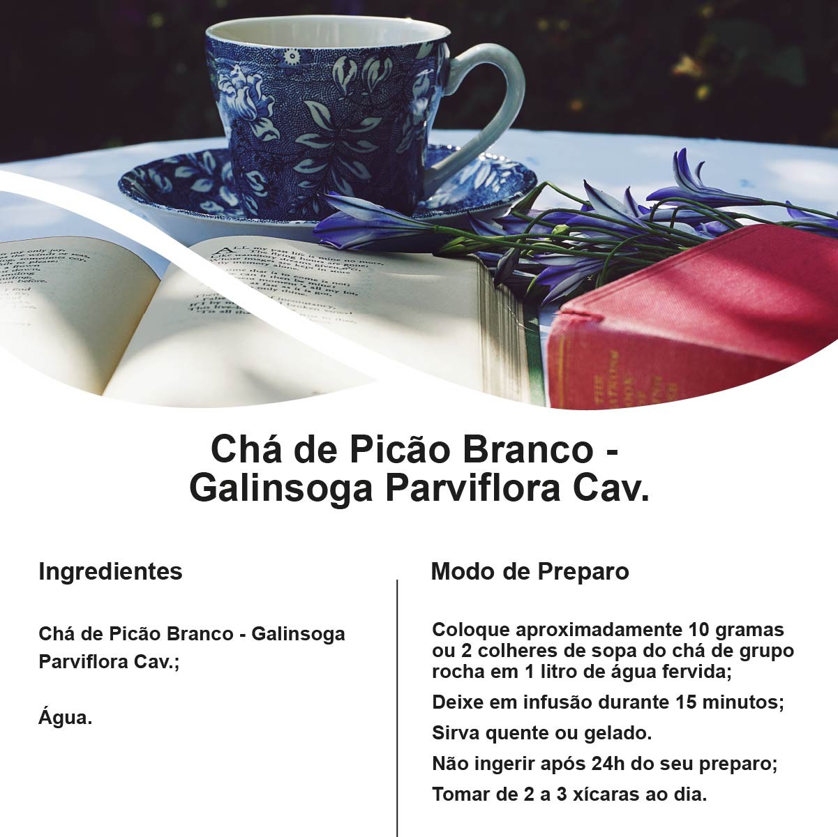 Chá de Picão Branco - Galinsoga Parviflora Cav. - 100g
