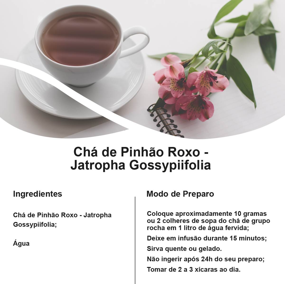 Chá de Pinhão Roxo - Jatropha gossypiifolia - 100g