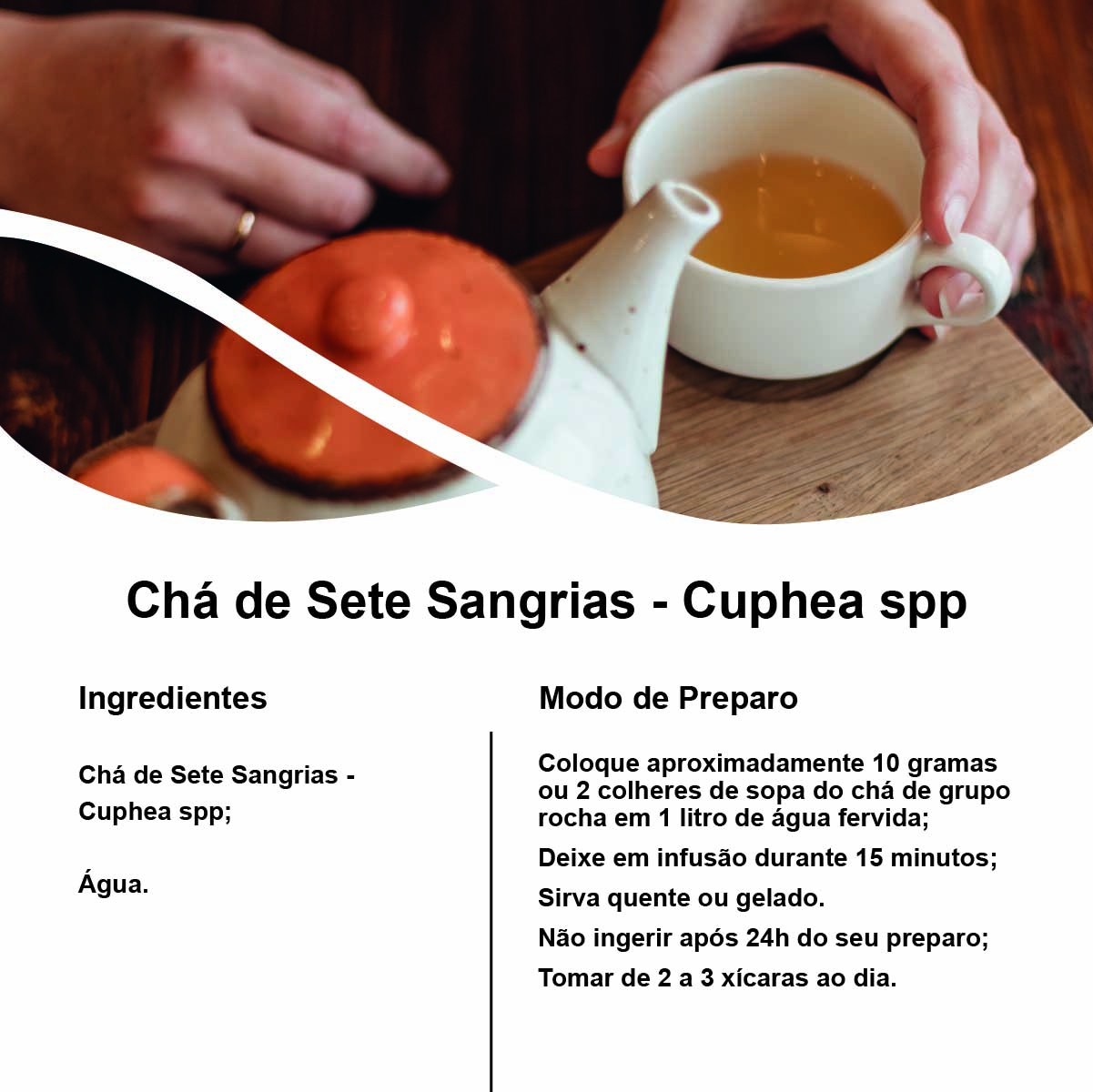 Chá de Sete Sangrias - Cuphea spp. - 100g