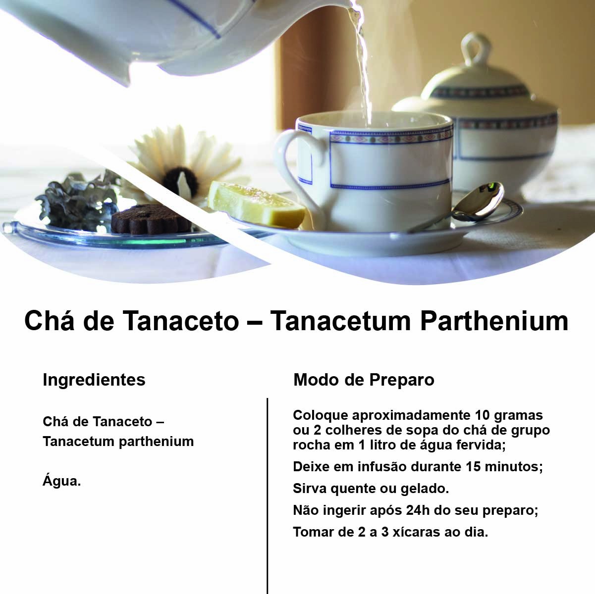 Chá de Tanaceto – Tanacetum parthenium – 100g