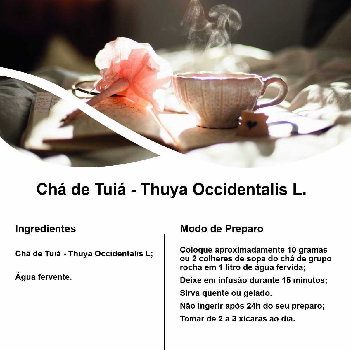 Chá de Tuiá - Thuya Occidentalis L. - 100g