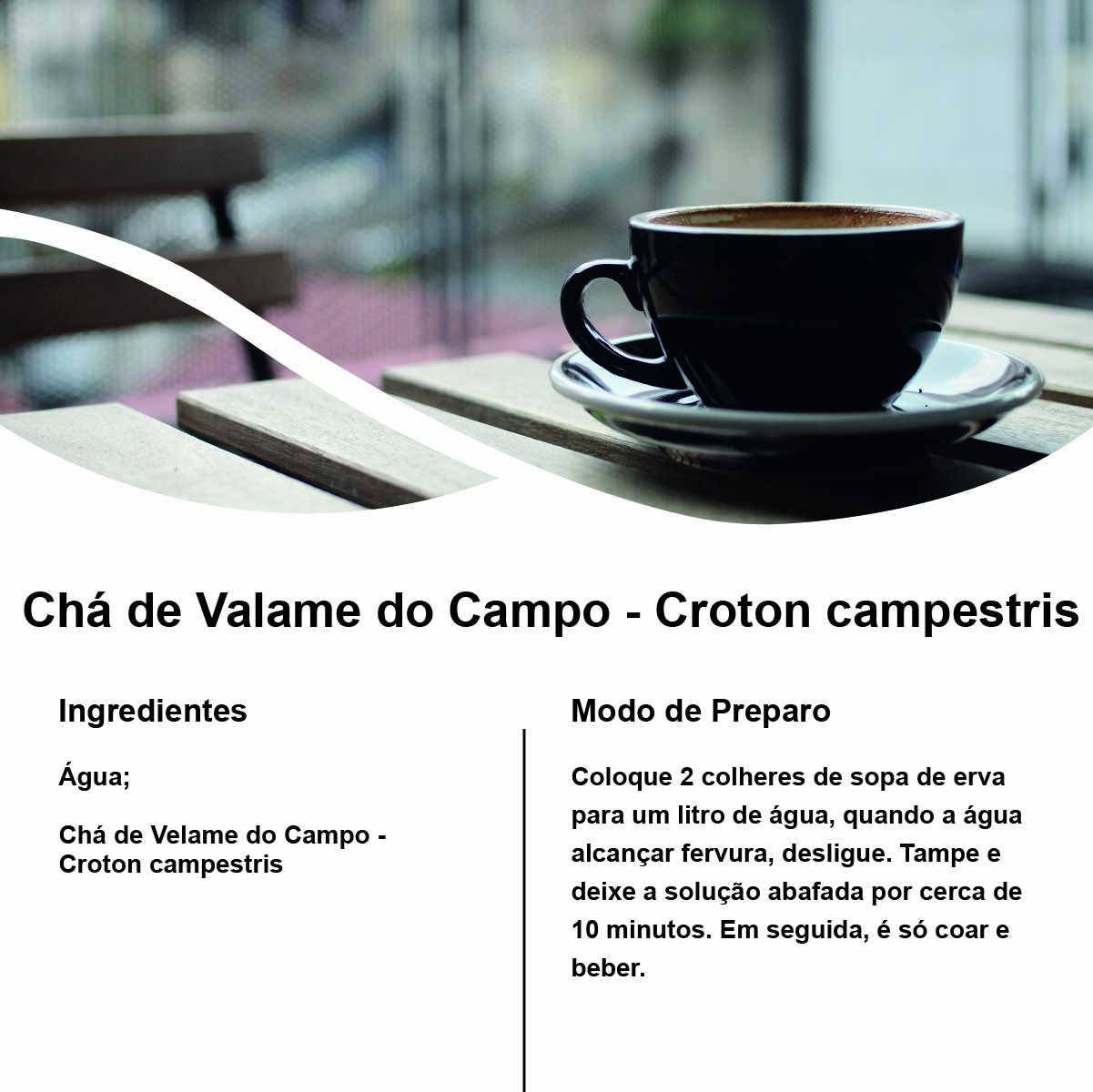 Chá de Valame do Campo - Croton campestris - 100g