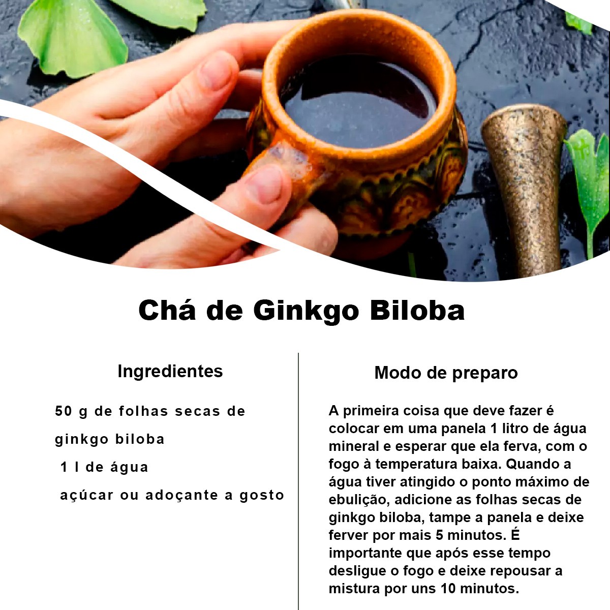 Kit 4 pct Chá de Ginkgo Biloba - Ginkgo Biloba L. - 100g