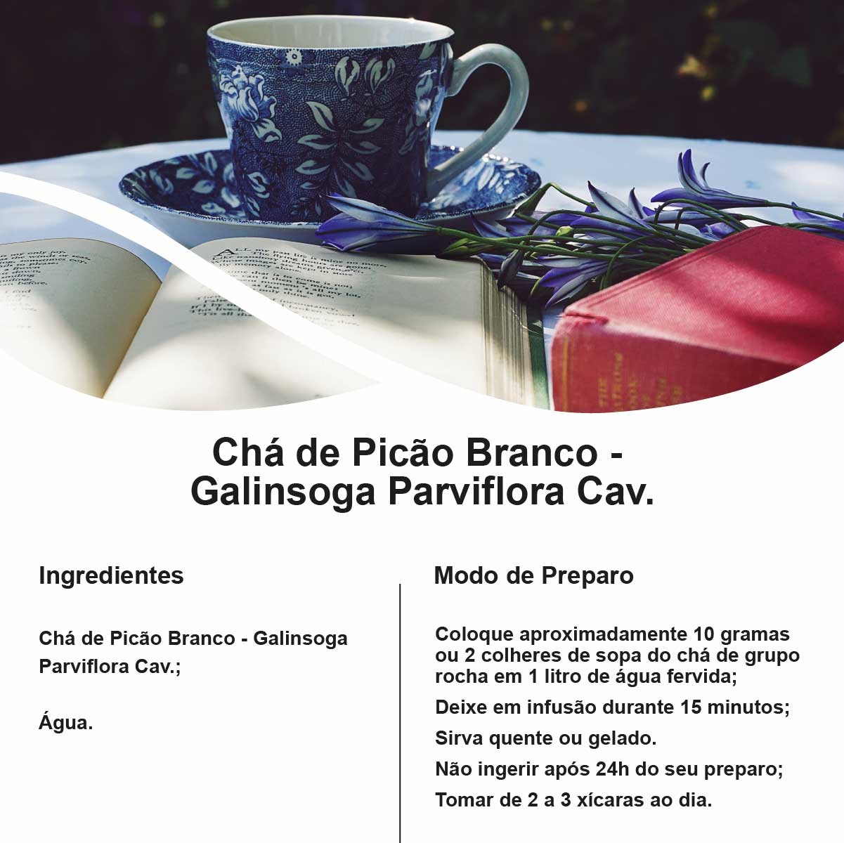 Chá de Picão Branco - Galinsoga Parviflora Cav. - 50g