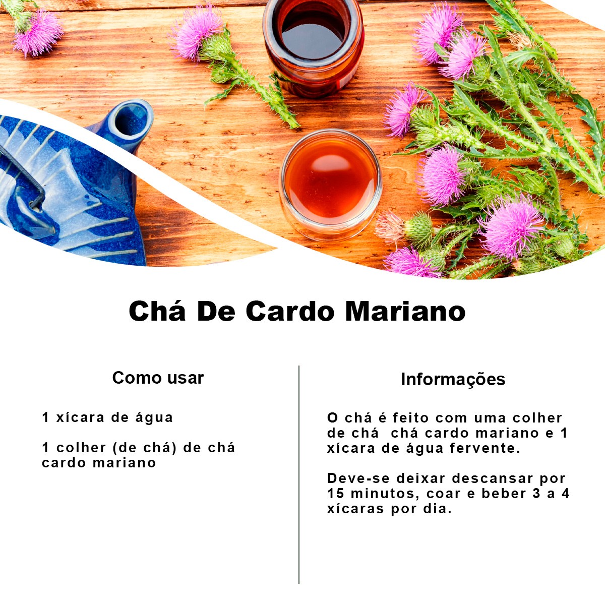 Chá de Cardo Mariano - Silybum Marianum L. - 50g