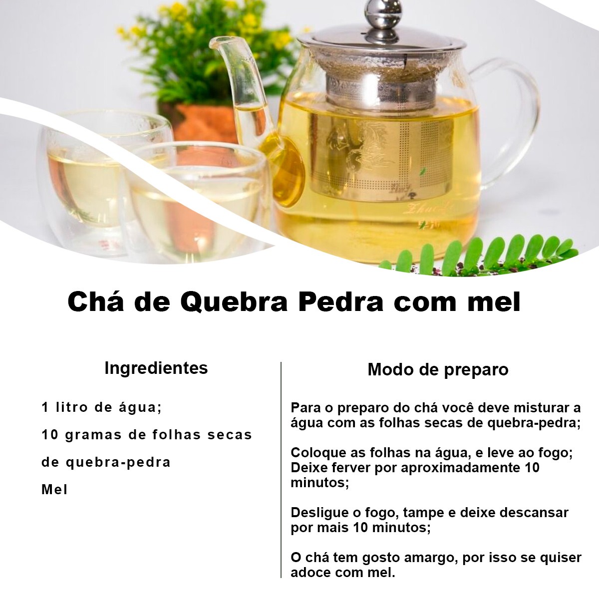 Chá de Quebra Pedra - Phyllanthus niruri L. - 100g
