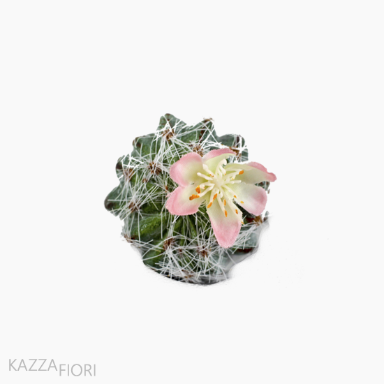 Mini Cactus Com Flor - Kazza Fiori