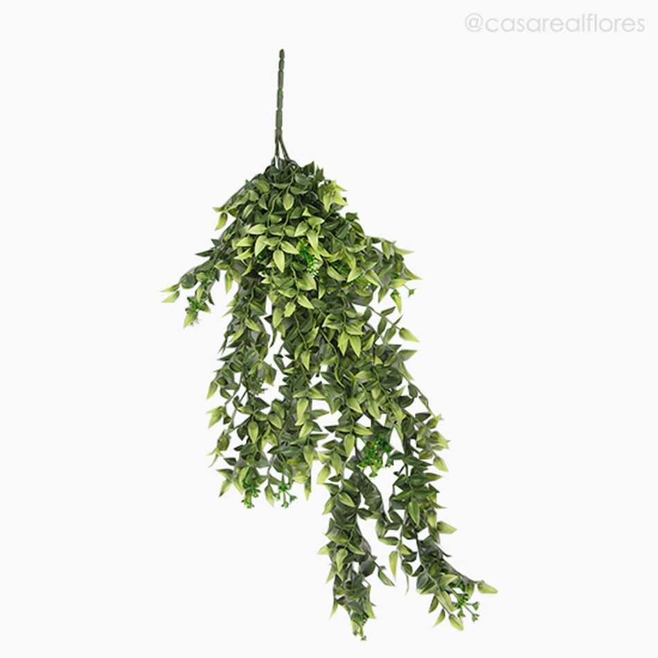 Folhagem Gilbardeira Ruscus Pendente Artificial - Verde (11899)