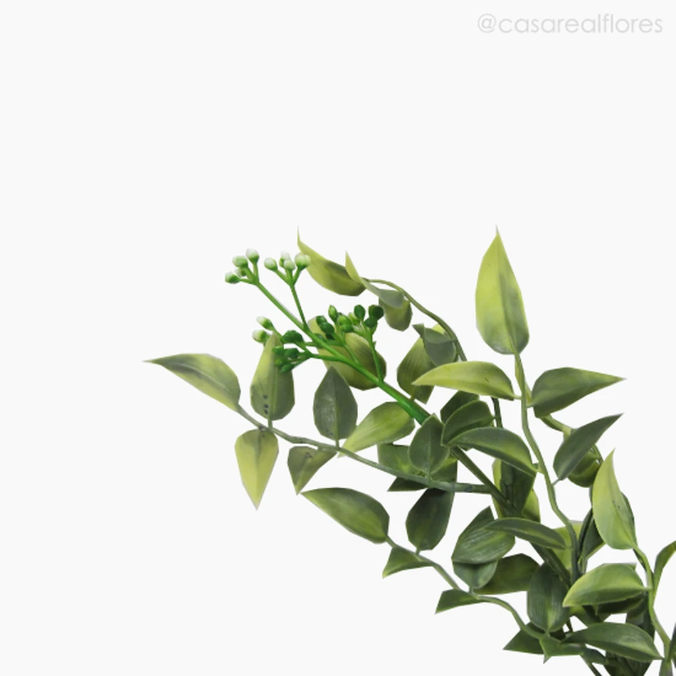 Folhagem Gilbardeira Ruscus Pendente Artificial - Verde (11899)