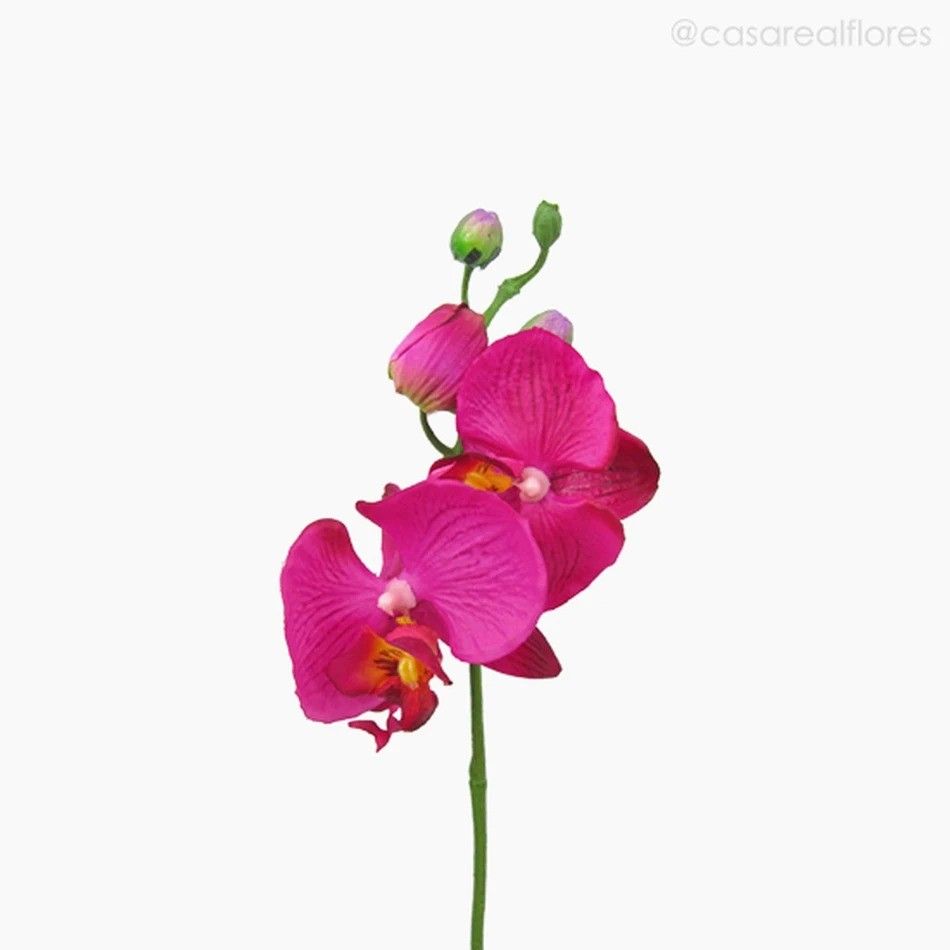 Orquídea Phalaenopsis (P) - BT Artificial - Rosa Escuro (9772)